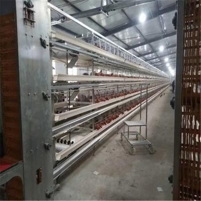 New Designed Modern Technical Automatic Layer Poultry Farm Equipment