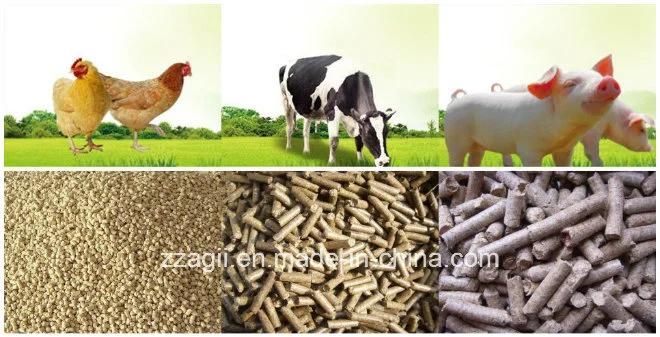 Ring Die Feed Pellet Machine Pet Food Making Machine