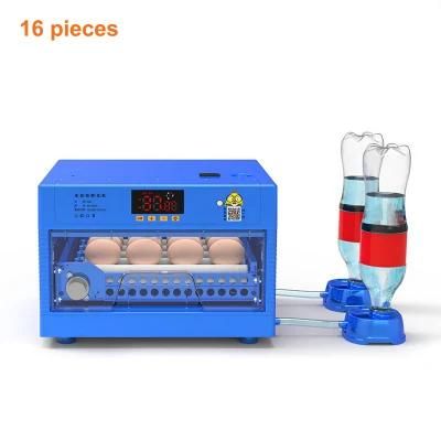 Poultry Farm Hatching Eggs Equipment 36 PCS Automatic Chicken Egg Incubator