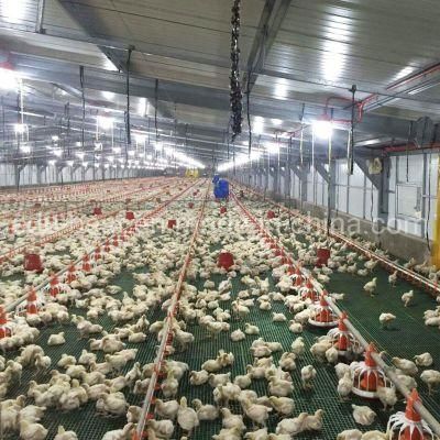 Prefab Poultry House and Chicken House Farm Feeding for Broiler