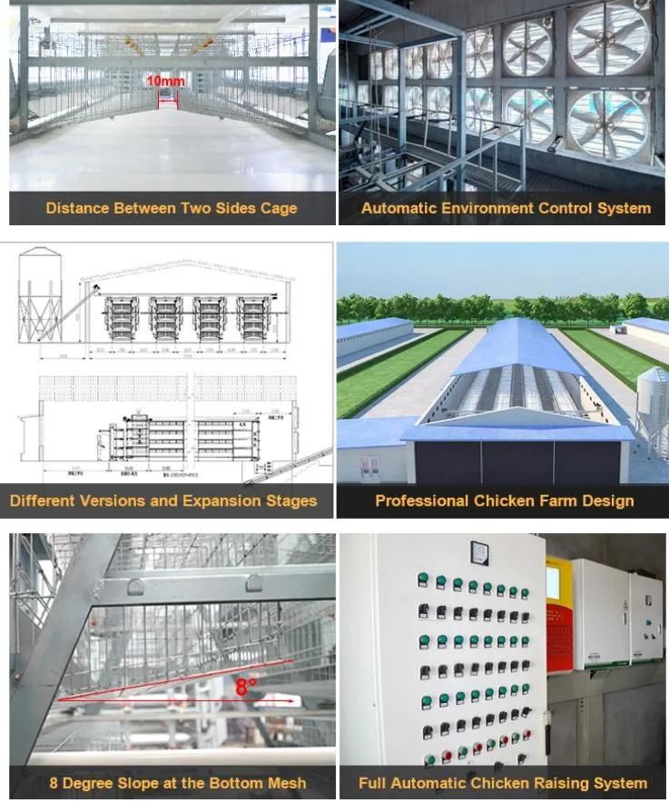 Fully Automatic Poultry Farm Galvanized Wire Layer Egg Chicken Battery Cage System