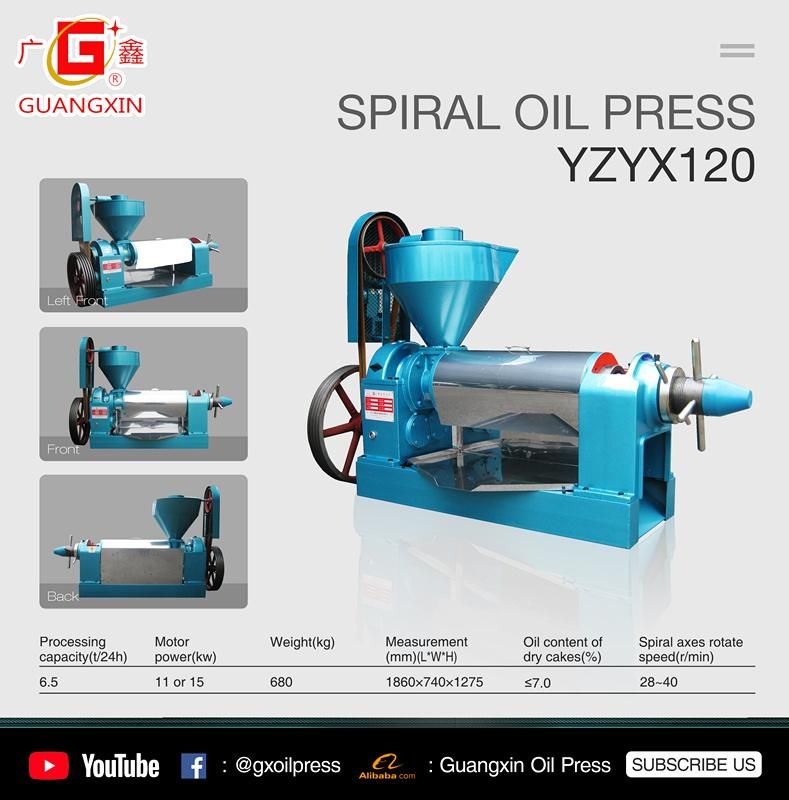 Chinese Factory 270kg/H Groundnuts Oil Presses Professional Mastard Oil Expeller Machine