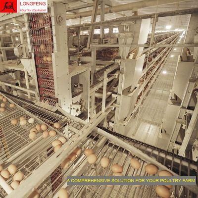 Computerized 3-12tires ISO9001: 2008 Nipple Drinking Line Poultry Farm Chicken Cage