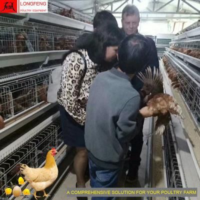 Farming Farm Layer Cages Battery a Type Chicken Cage Poultry Equipment Factory 9Ltd390/3120/4120/4160