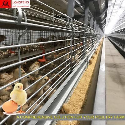 Mature Design Professional Automatic Fans and Cooling Pad Poultry Farm Layer Cages Manufacture