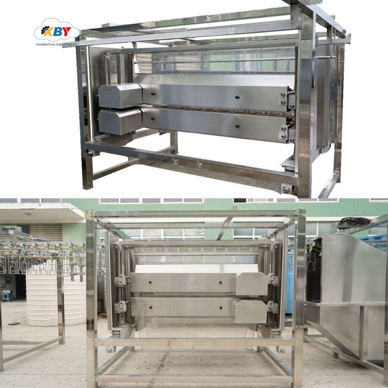 Africa Halal Poultry Chicken Processing Equipment Line in Slaughter House Plant