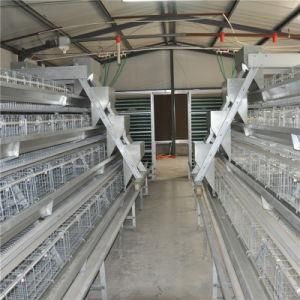 2019 Hot Sale Automatic Battery Chicken Raising Cages