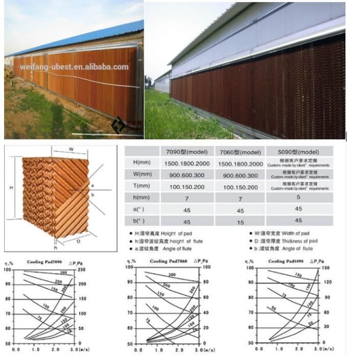 Factory Price PVC Livestock Poultry Farming Equipment Pan Feeder Nipple Drinker Environment Controller for Chicken Bird House