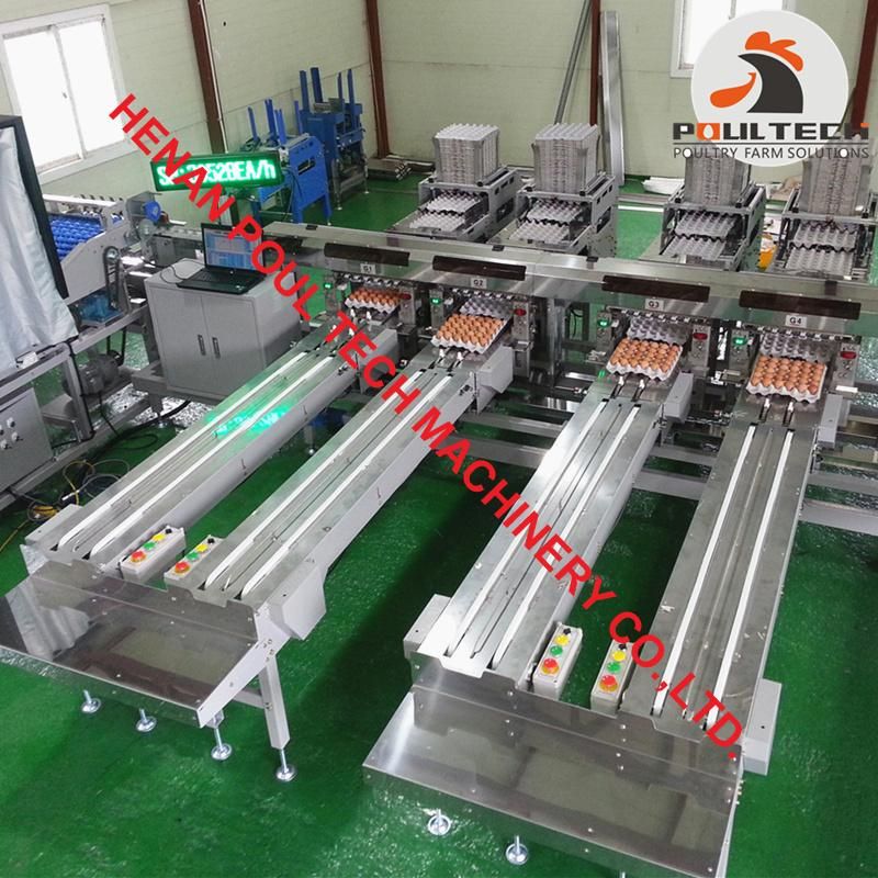 Egg Packing Machine with Capacity of 20000 Eggs Per Hour