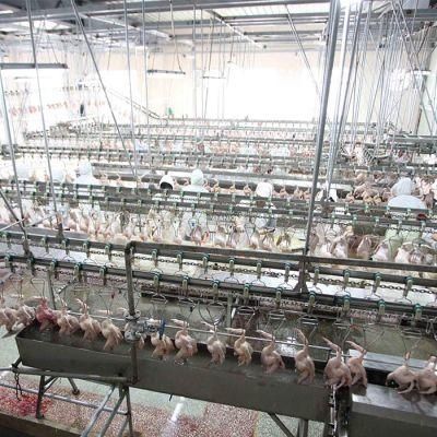 100-1000bph Chicken Butcher Processing Machine Poultry Scalding