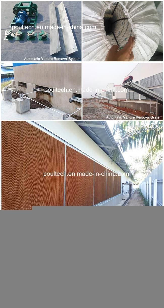 Poultry Cage Livestock Cage Equipment