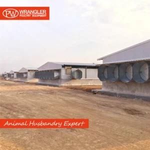 Full Set Automatic Poultry Farm Equipment for Broiler House