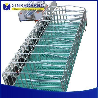 Stall Gestation Quality Assurance Pig Farm Stall Equipment Farrowing Galvanized Customizing Gestation Railing