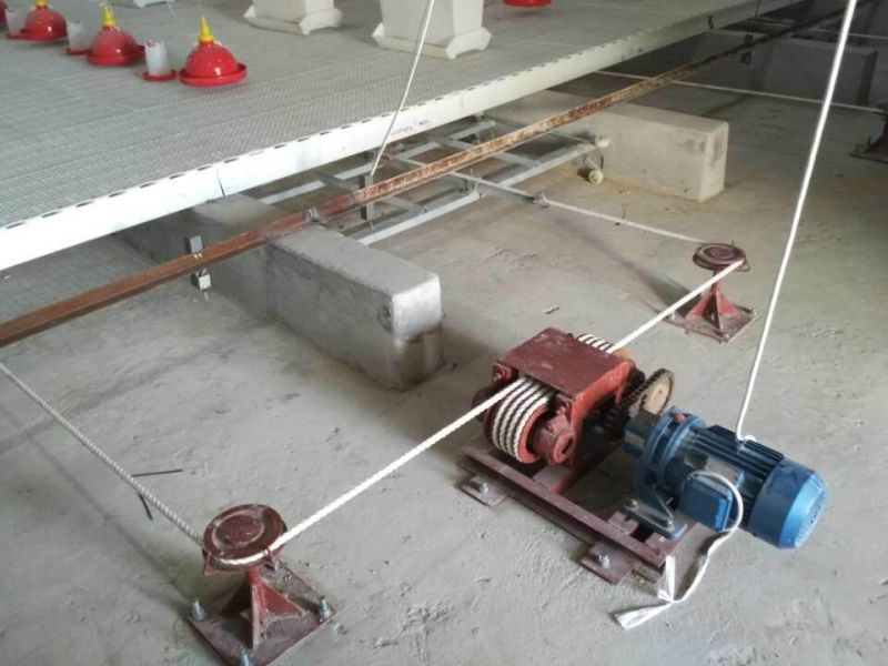 Steel Structure Duck House/Poultry House