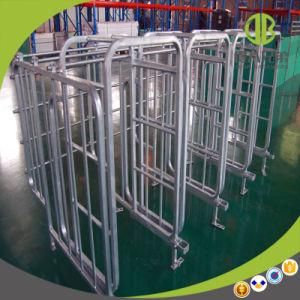 Pig Equipment Hot-Hip Galvanized Gestation Stall / Individual Stall for Sale