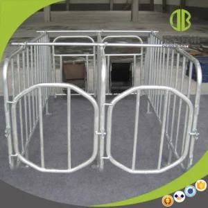 Hot DIP Galvanzied Durable Pigs in Gestation Stall