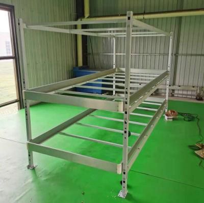 4X8 Feet Factory Wholesale Movable Grow Rack Double Tiers Rolling Bench