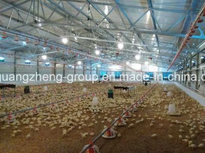 Hot Sale Chicken Pan Feeding System Broiler Flooring Ground Feeding Poultry Farm Equipment