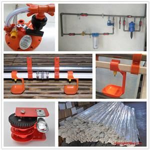 2021 Hot Sale Broiler Feeding Equipment