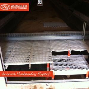 High Quality Plastic Slat Floor for Poultry House