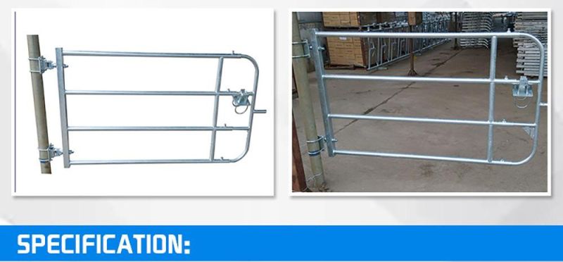 SGS Certified Hot-DIP Galvanized Steel Pipe Cattle Farm Fence Manufacturer