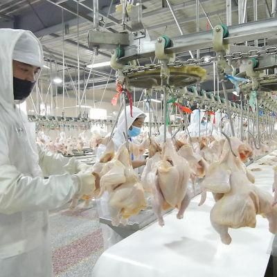 500bph-8000bph Chicken Slaughterhouse Poultry Abattoir Slaughter Equipment for Sale