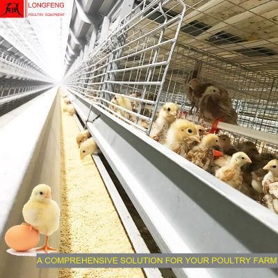 High Density Large Scale Stable Running Good Service Manufacture Electric Poultry Farm Equipment