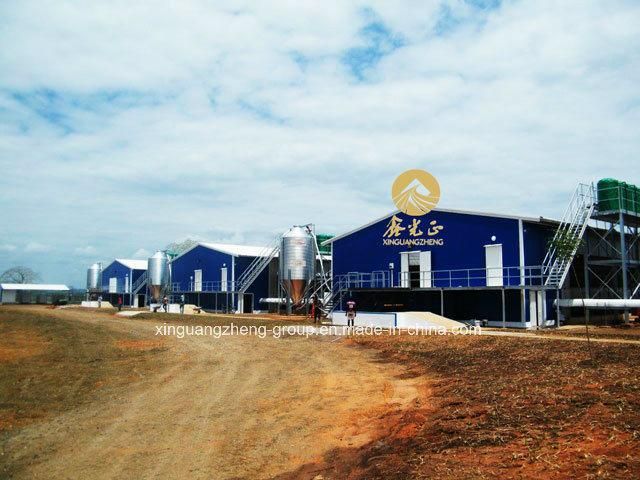 Steel Chicken House/Steel Poultry Shed with Automatic Equipments (XGZ-211-002)