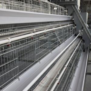 Poultry Farms Chicken Use and Chicken Feeding Layer Chicken Cage