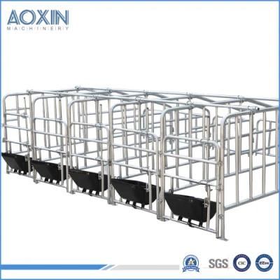 Swine House Sow Positioning Pen Machinery