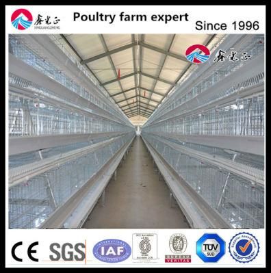 Layer Cage with Feeding Equipment