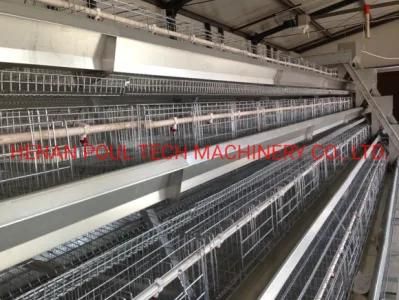 a Type Layer Cage Raising Equipment for 65000 Birds Layer Project