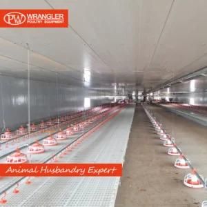 High Quality Poultry Slat Floor Poultry Equipment for Chicken Farm