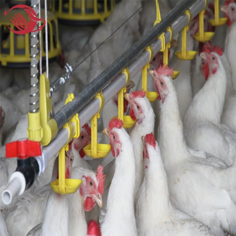 Wholesale Customized Automatic Poultry Chicken House Feeder Line and Waterer Line