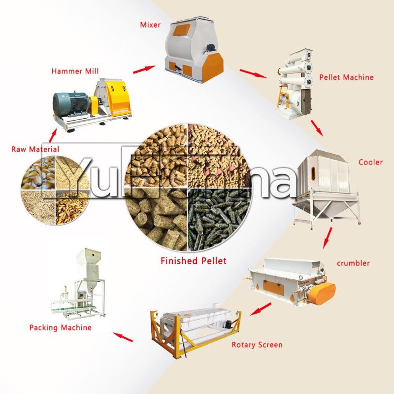 Low Price Poultry Feed Processing Equipment Sale