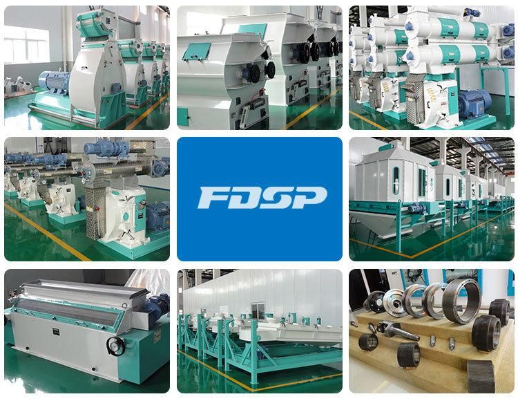 High Output Fish Feed Pellet Machine Plant