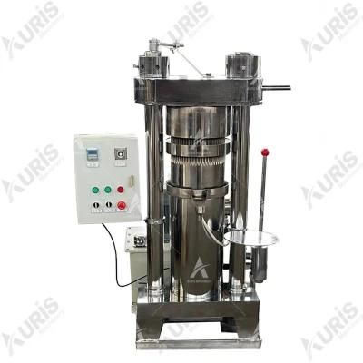 High Oil Recovery Pine Nuts Almond Peanut Oil Processing Making Extractor Extraction Expeller Palm Oil Press Machine
