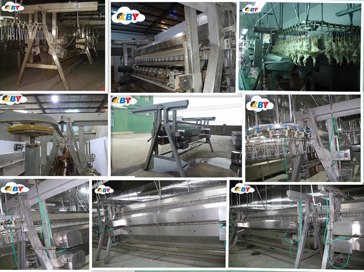 Poultry Farming Equipment for Chicken Plucker Feather Sale