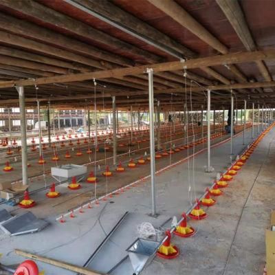 Modern Chicken Shed Automatic Broiler Farm Feeders and Drinkers Poultry Feeding Equipment