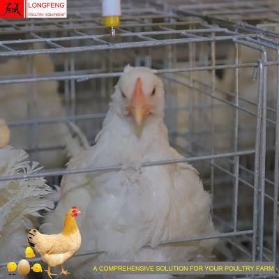 Longfeng China Feeding Poultry Farm Equipment Battery Chicken Cage with Factory Price