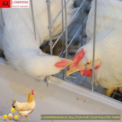 90 Birds, 120birds, 160birds Farming Equipment Poultry Farm Chicken Layer Cage 9Ltd390/3120/4120/4160