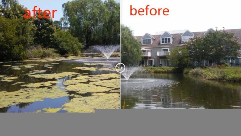 Environmentally Friendly Aquatic Weed Harvesting Boat for Sale