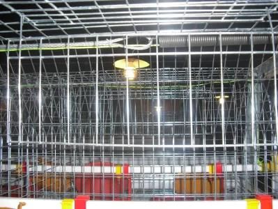 Best-Selling Type H Chicken Poultry Raising Equipment