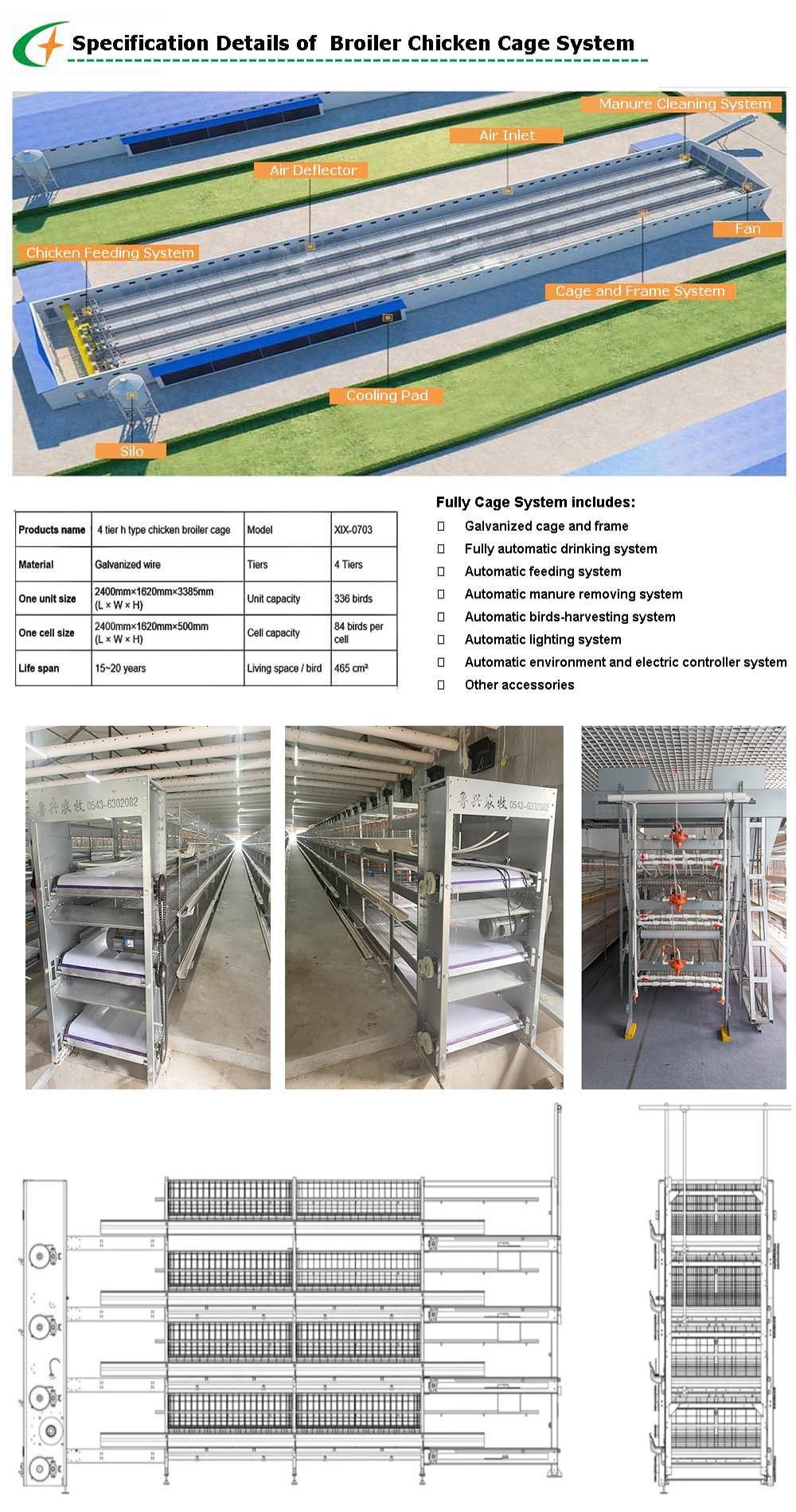H Type Battery Broiler Chicken Cage System Poultry Equipment with Belt Manure Removal System