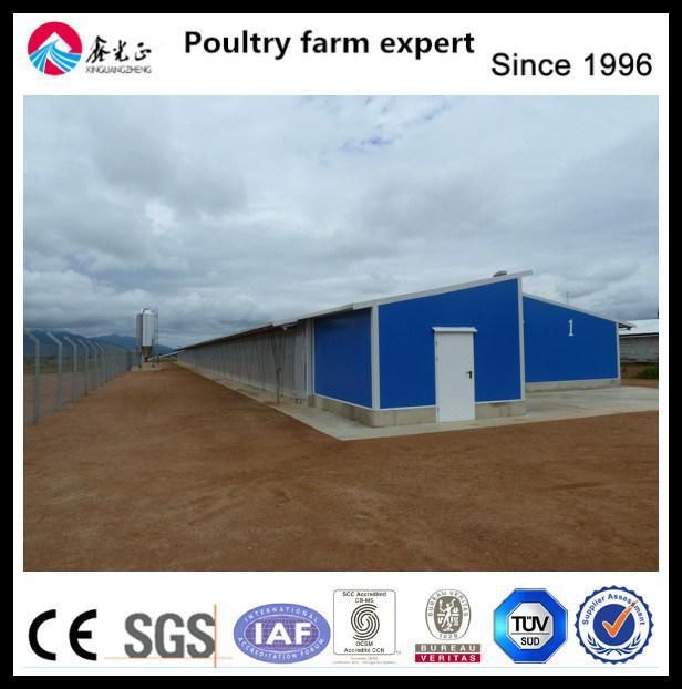 Industrial Construction Design Prefab Steel Structure Poultry Chicken Layer Farm Shed House