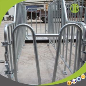 Hot DIP Galvanized Livestock Equipment Pig Crate Pig Gestation Stall