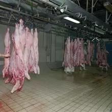 Halal Slaughter for Sheep Slaughterhouse Slaughter Equipment Machinery
