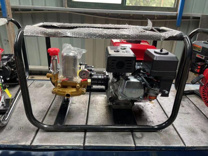 170f7.5HP 22mm Direct Connect Agricultural Gasoline Engine Power Sprayer