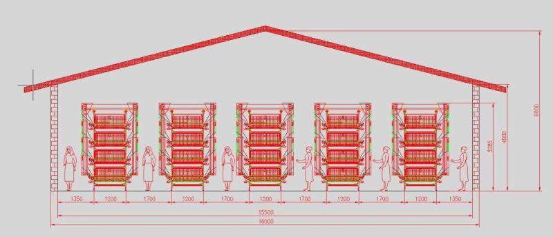 Completely Automatic Laying Hen Egg Layer Battery H Type Chicken Cages System