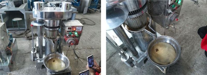 Hydraulic Coffee Cocoa Bean Extraction Machine Camellia Oil Press Palm Oil Processing Machine